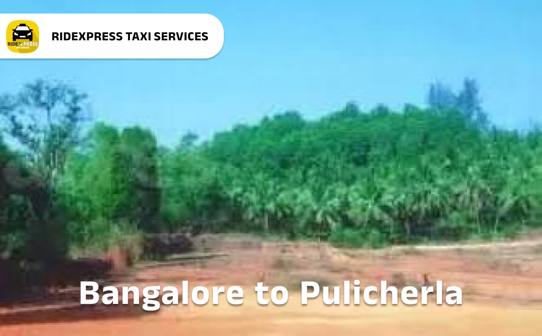 Bangalore to Pulicherla Taxi Services - Comfortable Outstation Cabs