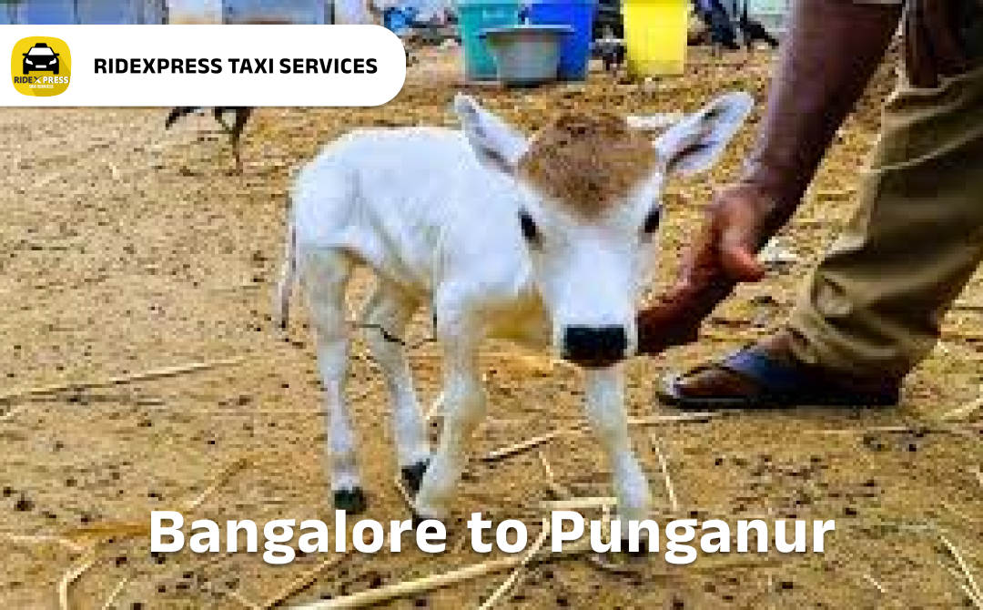 Bangalore to Punganur Taxi Services - Comfortable Outstation Cabs