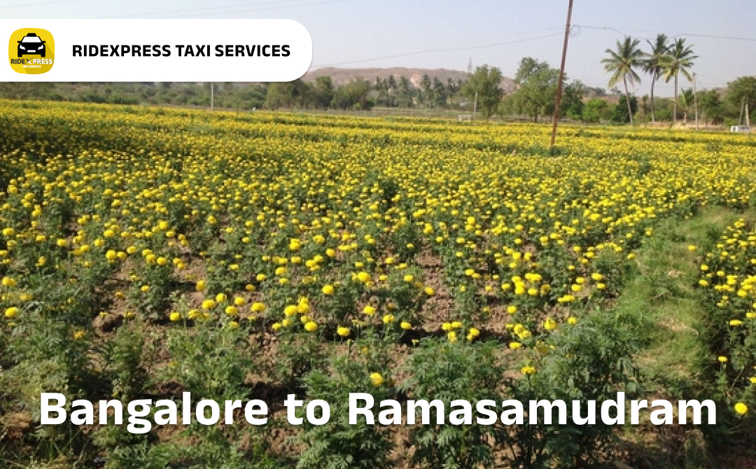 Reliable Taxi Services from Bangalore to Ramasamudram