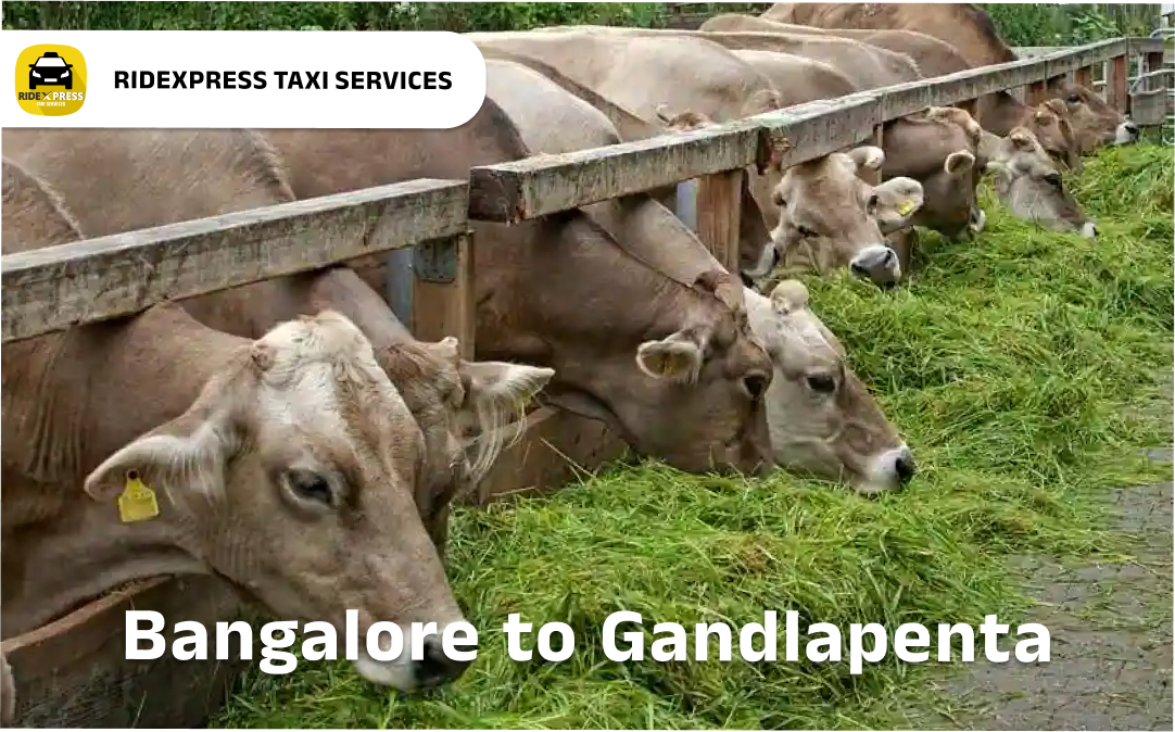 Bangalore to Gandlapenta Taxi Services - Reliable Outstation Cabs