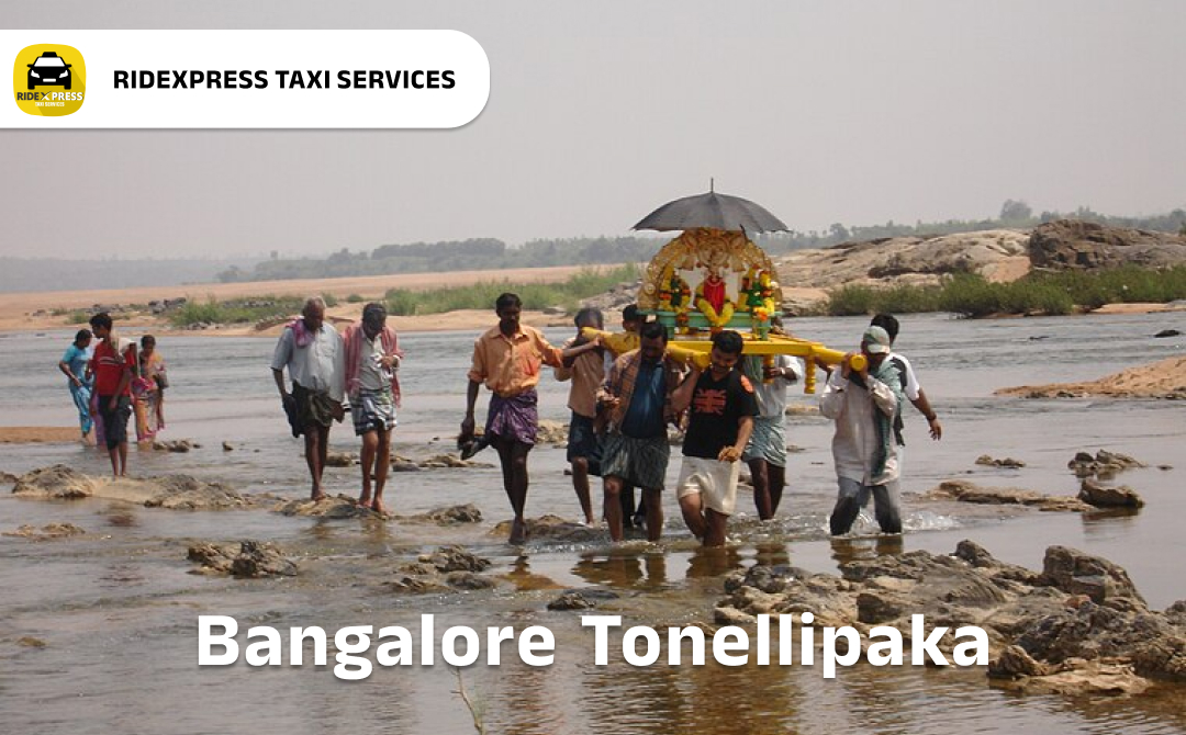 Affordable Bangalore to Nellipaka Taxi Services - Outstation Car Rental