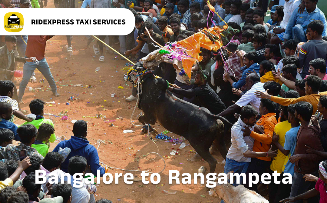 Reliable Bangalore to Rangampeta Taxi Services