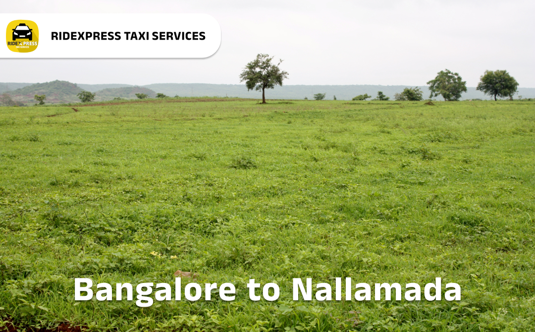 Bangalore to Nallamada Taxi Services - Comfortable Outstation Cab Rentals