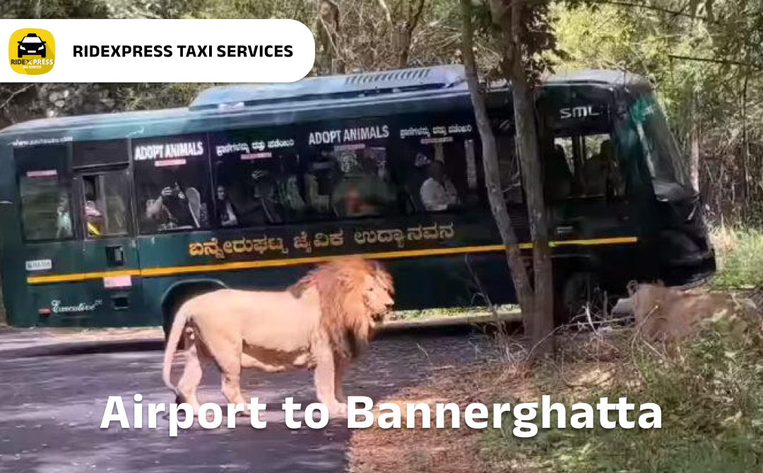 Affordable Airport Taxi: Bannerghatta to Bangalore Airport