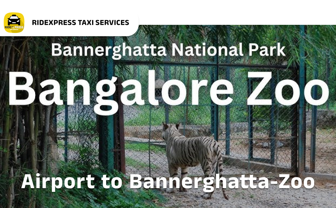 Affordable Airport Taxi in Bangalore for Bannerghatta Zoo to Bangalore Airport Pickup and Drop