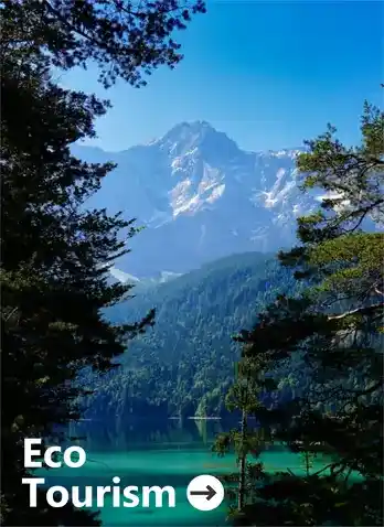 Book an eco-friendly taxi for sustainable travel and nature tours